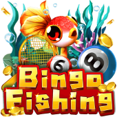 Câu Cá Bingo f16886